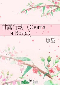《甘露行动(Святая Bода)》