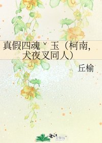 真假四魂ˇ玉（柯南，犬夜叉同人）
