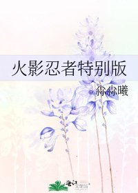 《火影忍者特别版》