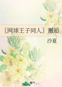 《〖网球王子同人〗邂逅》