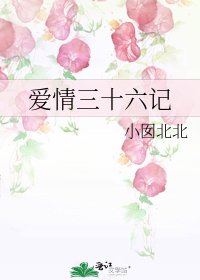 《爱情三十六记》