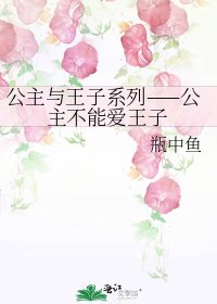 《公主与王子系列——公主不能爱王子》