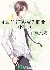 《永夏*当穿越成为职业(网王)》
