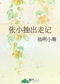 张小抽出走记