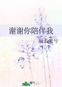《谢谢你陪伴我》