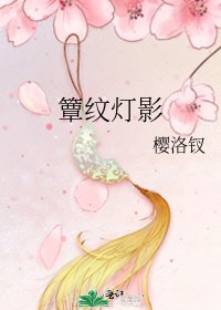 《簟纹灯影》
