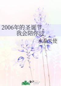 《2006年的圣诞节,我会陪你过》