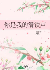 你是我的滑铁卢