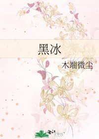 《黑冰》