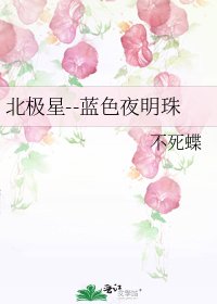 《北极星--蓝色夜明珠》