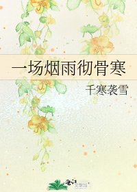 《一场烟雨彻骨寒》