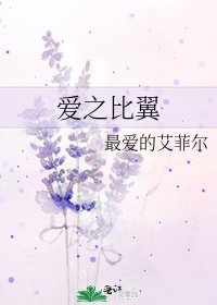 爱之比翼