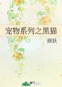 《宠物系列之黑猫》