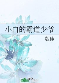 《小白的霸道少爷》