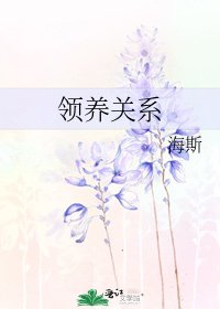 《领养关系》