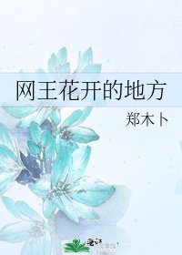 《网王花开的地方》