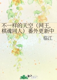 《不一样的天空(网王,棋魂同人)番外更新中》