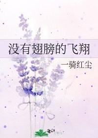 《没有翅膀的飞翔》