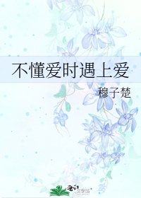 《不懂爱时遇上爱》