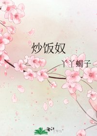 《炒饭奴》