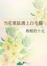 《当花栗鼠遇上白毛猫》