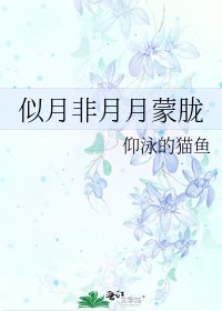 《似月非月月蒙胧》