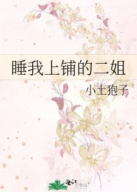 《睡我上铺的二姐》