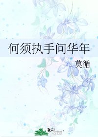 《何须执手问华年》