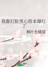 《我靠打脸黑心资本爆红了》