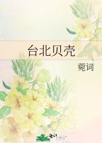 《台北贝壳》