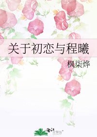 《关于初恋与程曦》