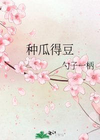 《种瓜得豆》