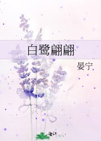 《白鹭翩翩》