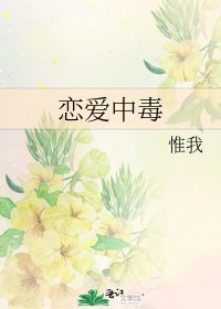 《恋蔼中毒》