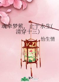 《魂牵梦萦,止于永生(清穿十三)》