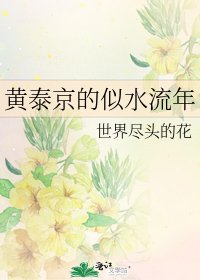 《黄泰京的似水流年》