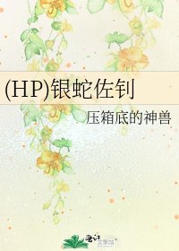 《(HP)银蛇佐钊》