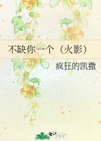 《不缺你一个(火影)》