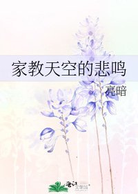 《家教天空的悲鸣》