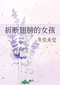 《折断翅膀的女孩》