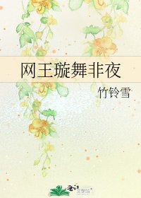 《网王璇舞非夜》
