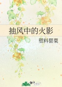 《抽风中的火影》