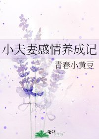《小夫妻感情养成记》