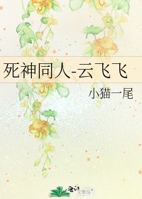 《死神同人-云飞飞》
