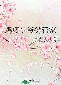 《鸡婆少爷劣管家》