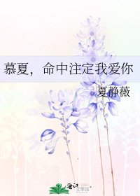 《慕夏,命中注定我爱你》