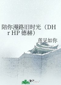 陪你漫路旧时光（DHr HP 德赫）