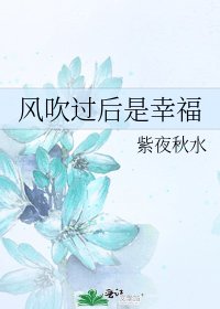 《风吹过后是幸福》