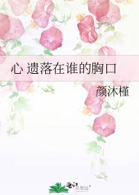 心 遗落在谁的胸口