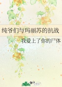 纯爷们与玛丽苏的抗战